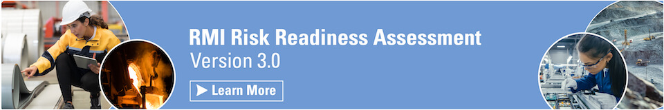 RMI Risk Readiness Assessment Version 3.0
